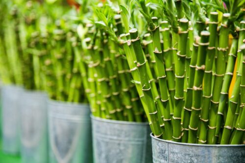 Reusable Products